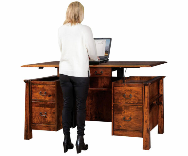 Artesa Sit to Stand Curved Top Desk