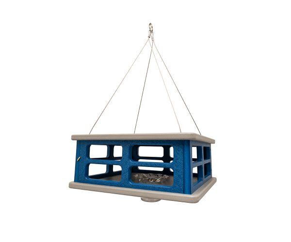 Blue Bird Feeder