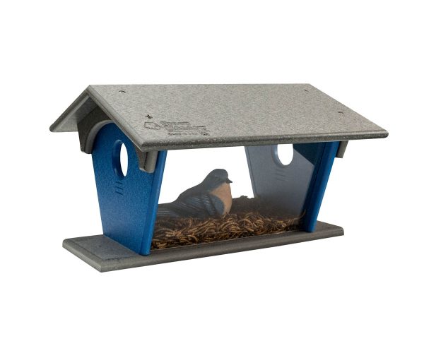 Blue Bird Feeder