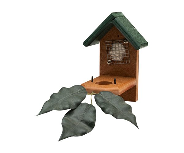 Hummingbird Nest House